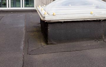 disadvantages of Netherhampton flat roofs