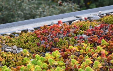 the cost of Netherhampton green roof installation