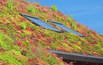 Netherhampton living roof systems